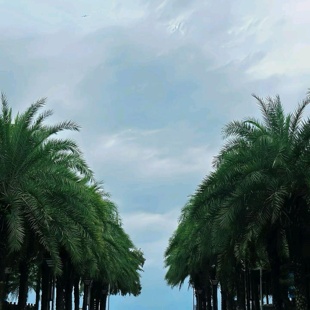 我的心碎，看破红尘