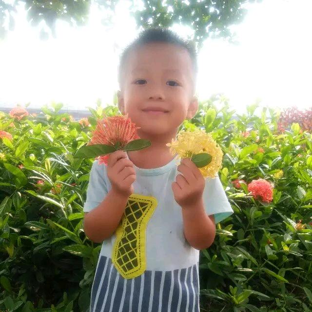 龙龙麻麻吖