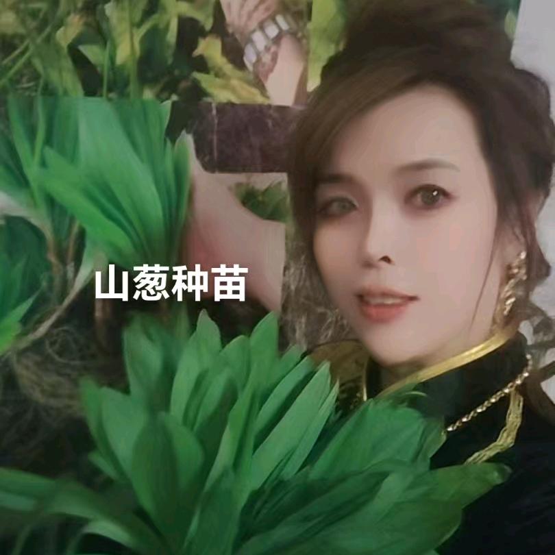 山葱种植和山特产品