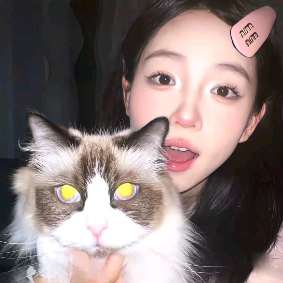 想听心里话-    🦟