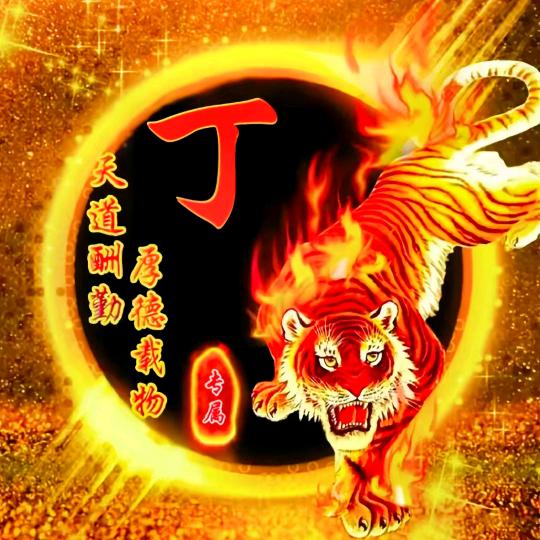 不锈钢耳钉，耳环，项链
