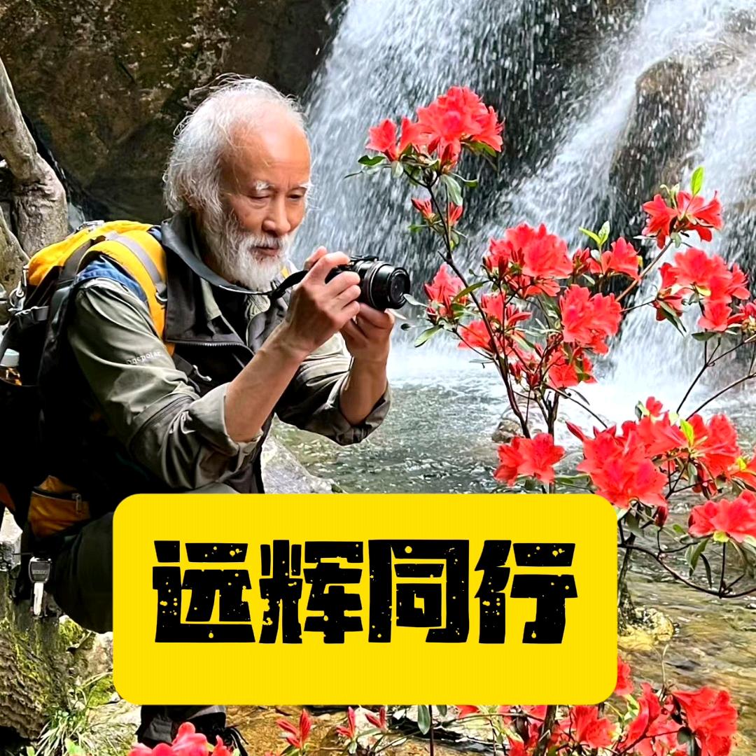 远辉同行