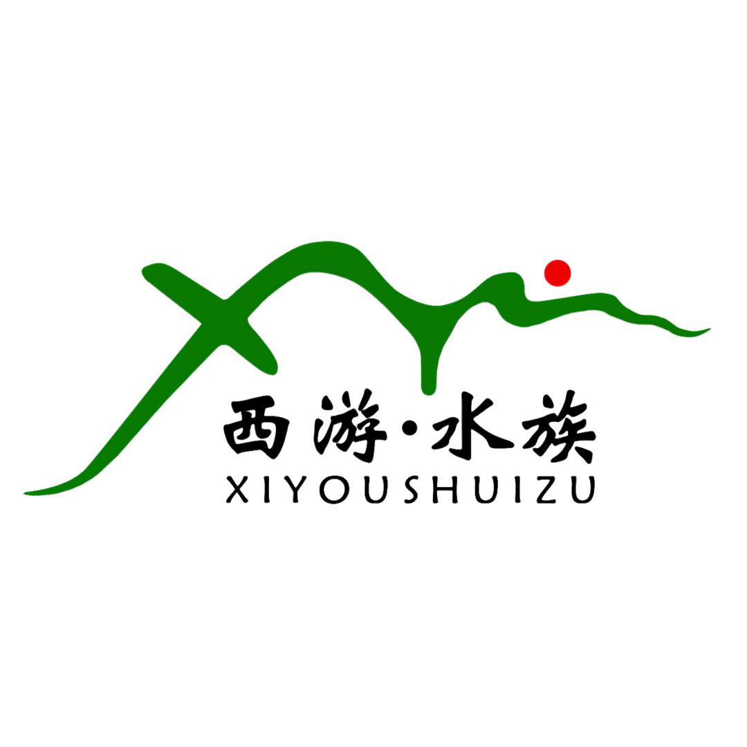 西游水景