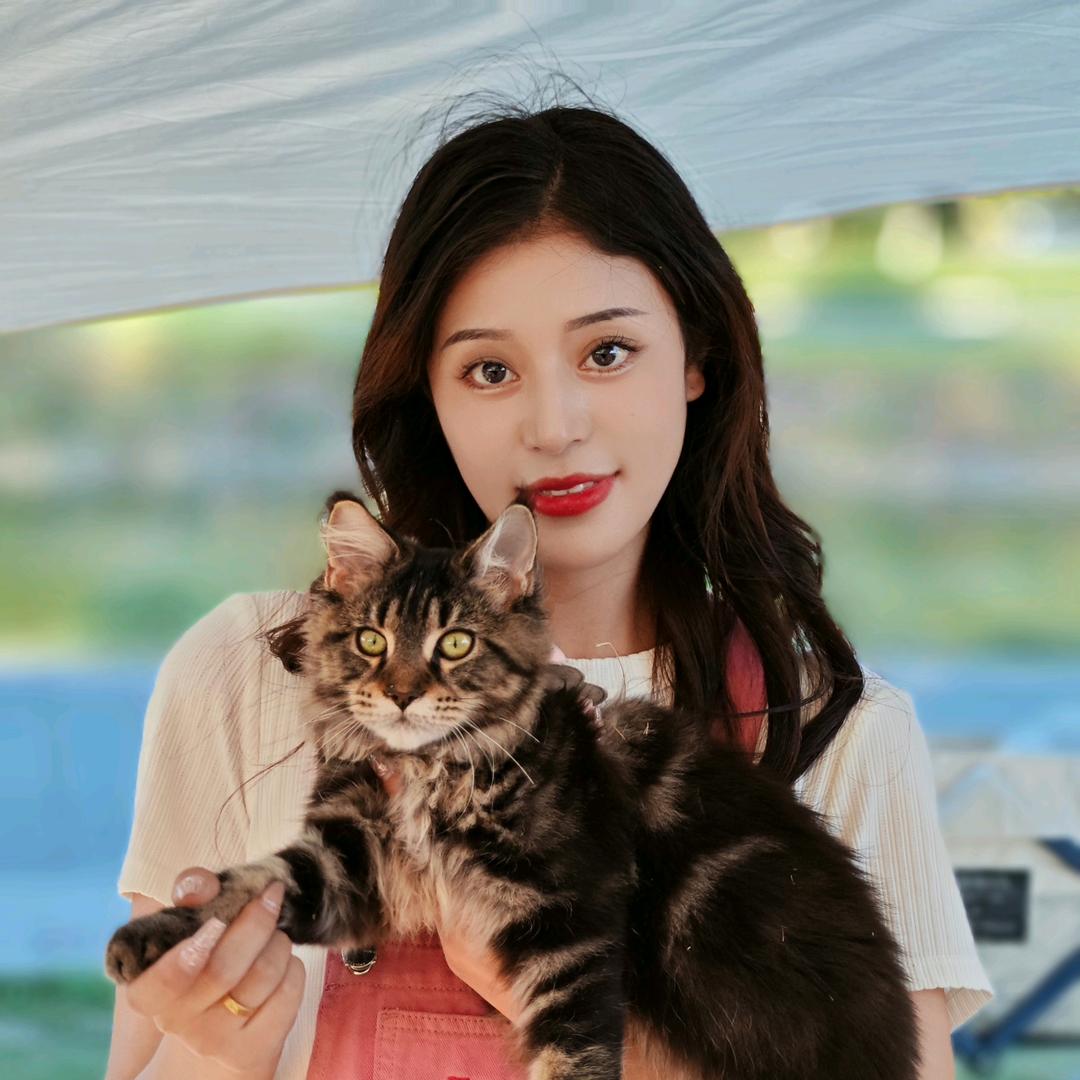 招财猫的穿搭