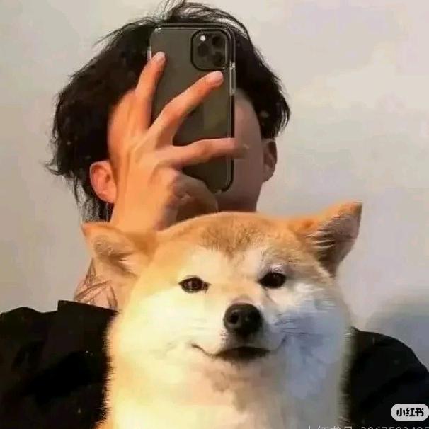 大大怪