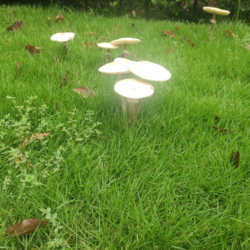 俩婷