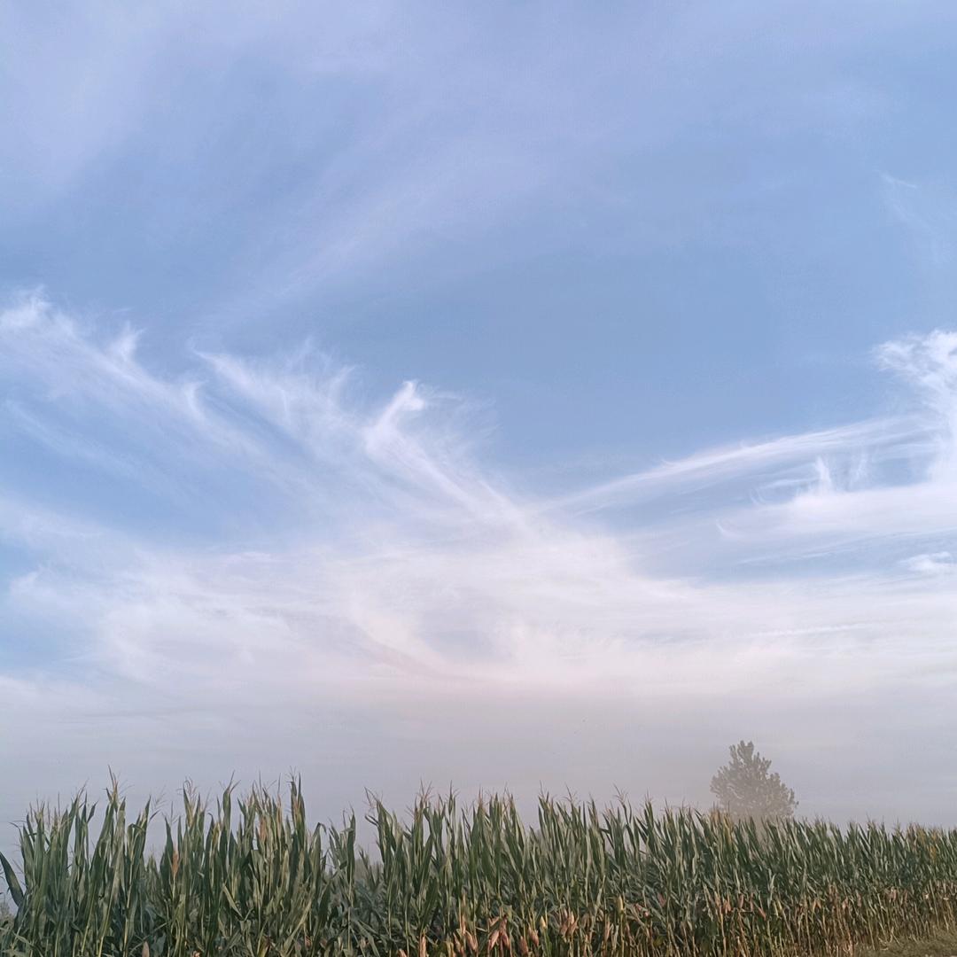 ಇ᭄四妹࿆ྃ࿐