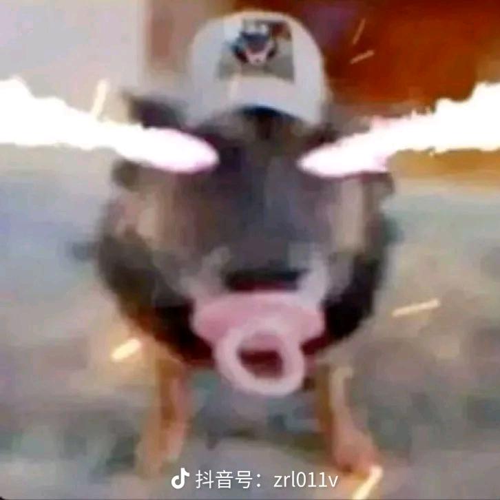 左！