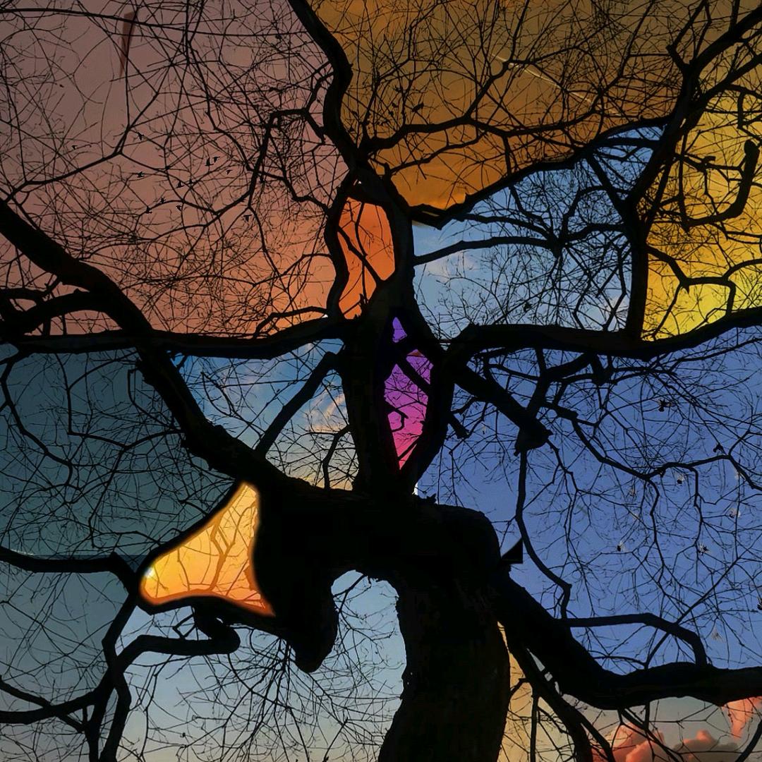 临朐欧派大家居-小樊