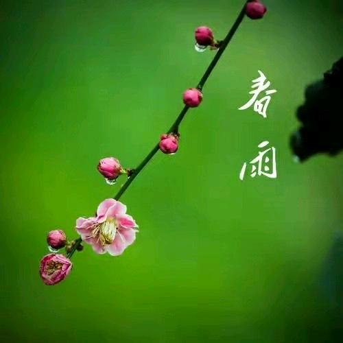 春雨养生堂