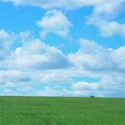 开心果。
