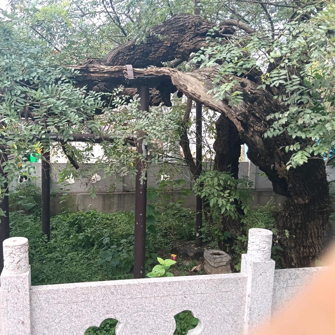 单身？