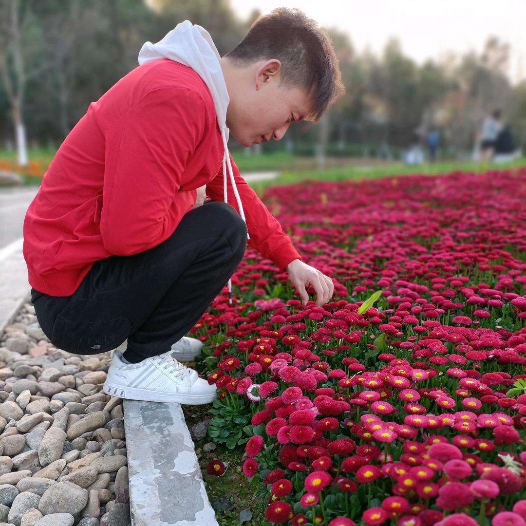 ^O^偏爱自由*^_^*