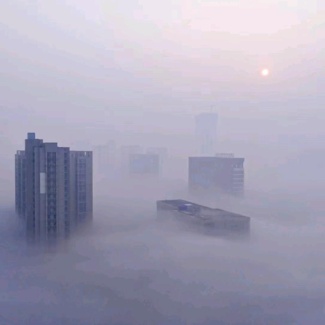 申城