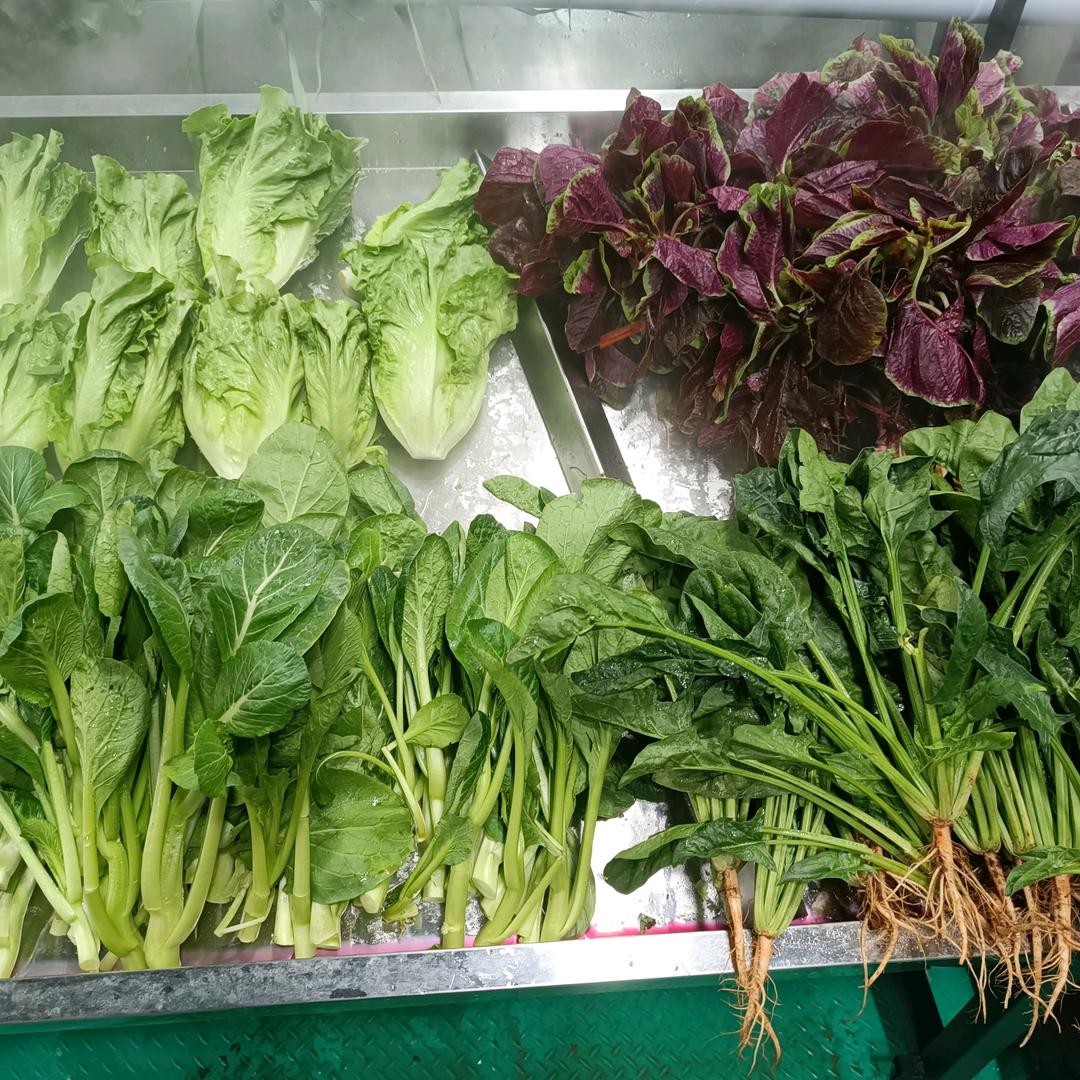 仕江蔬菜批发供应链