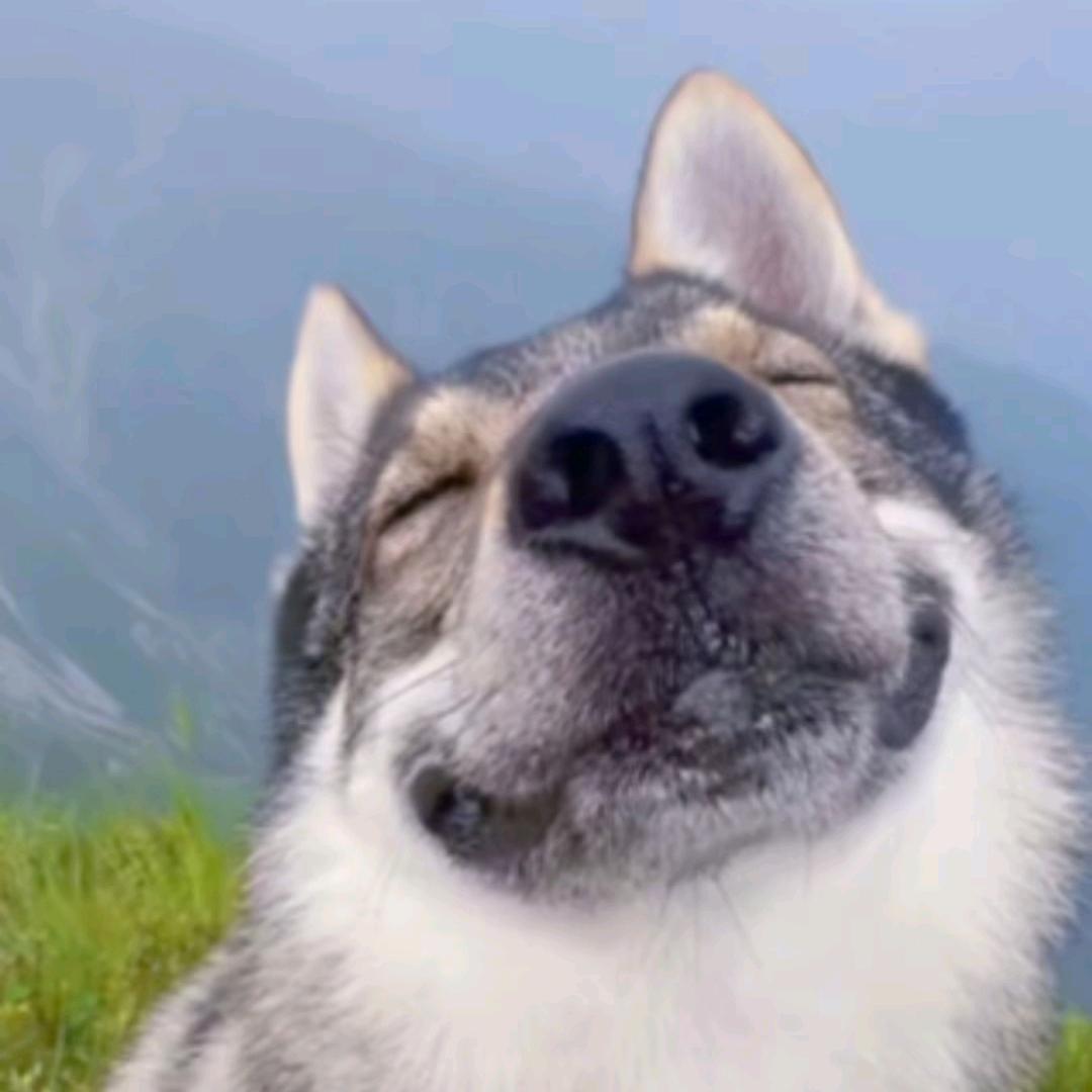 三个六（湖州营销策划方案制作）