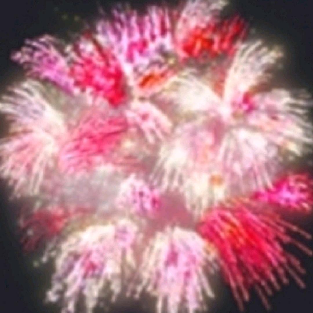 烟花🎇