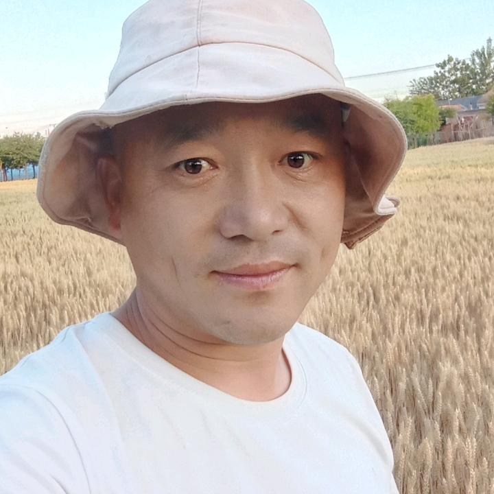 老羊与狼