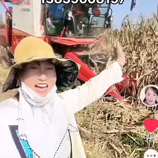 莲妹