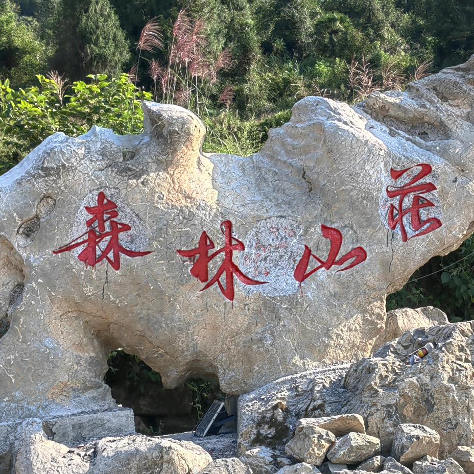 森林山庄