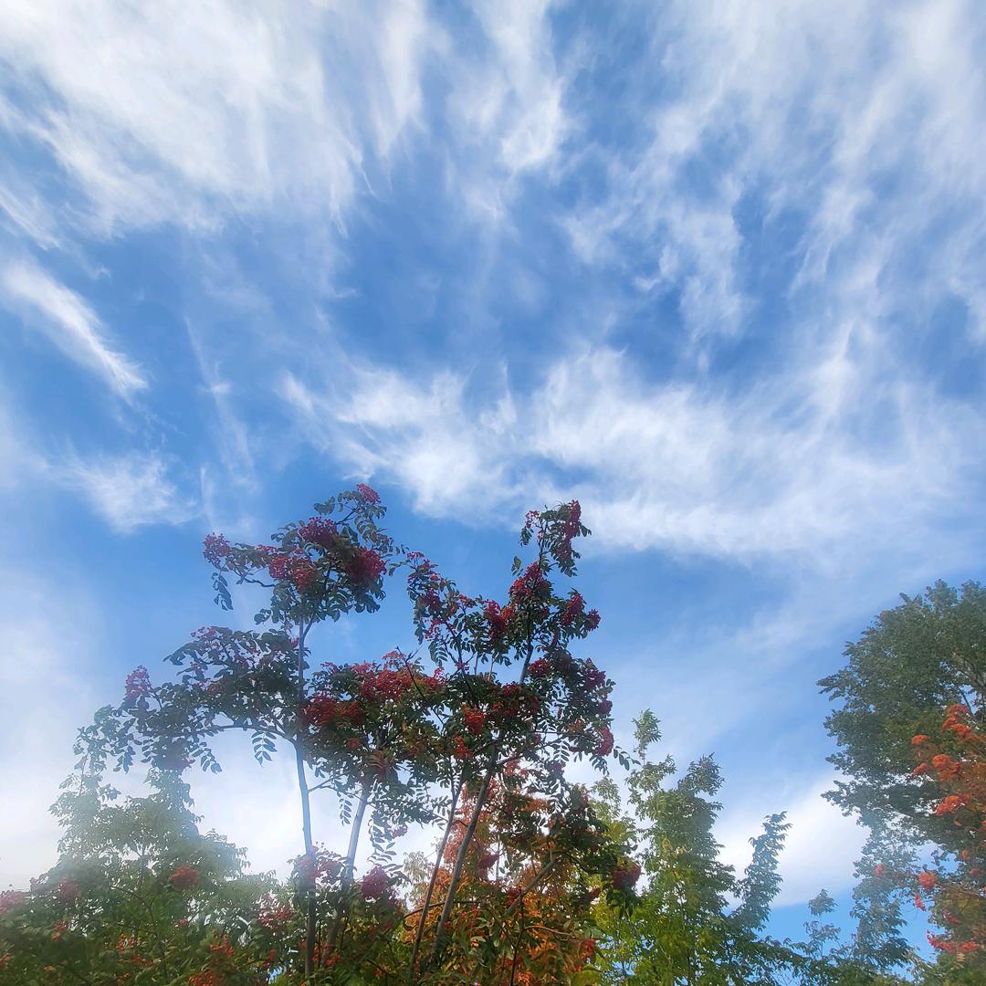 Summer夏