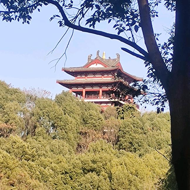 羽萌