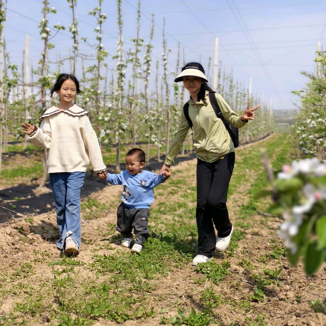 阿珍|新农妹|白水苹果