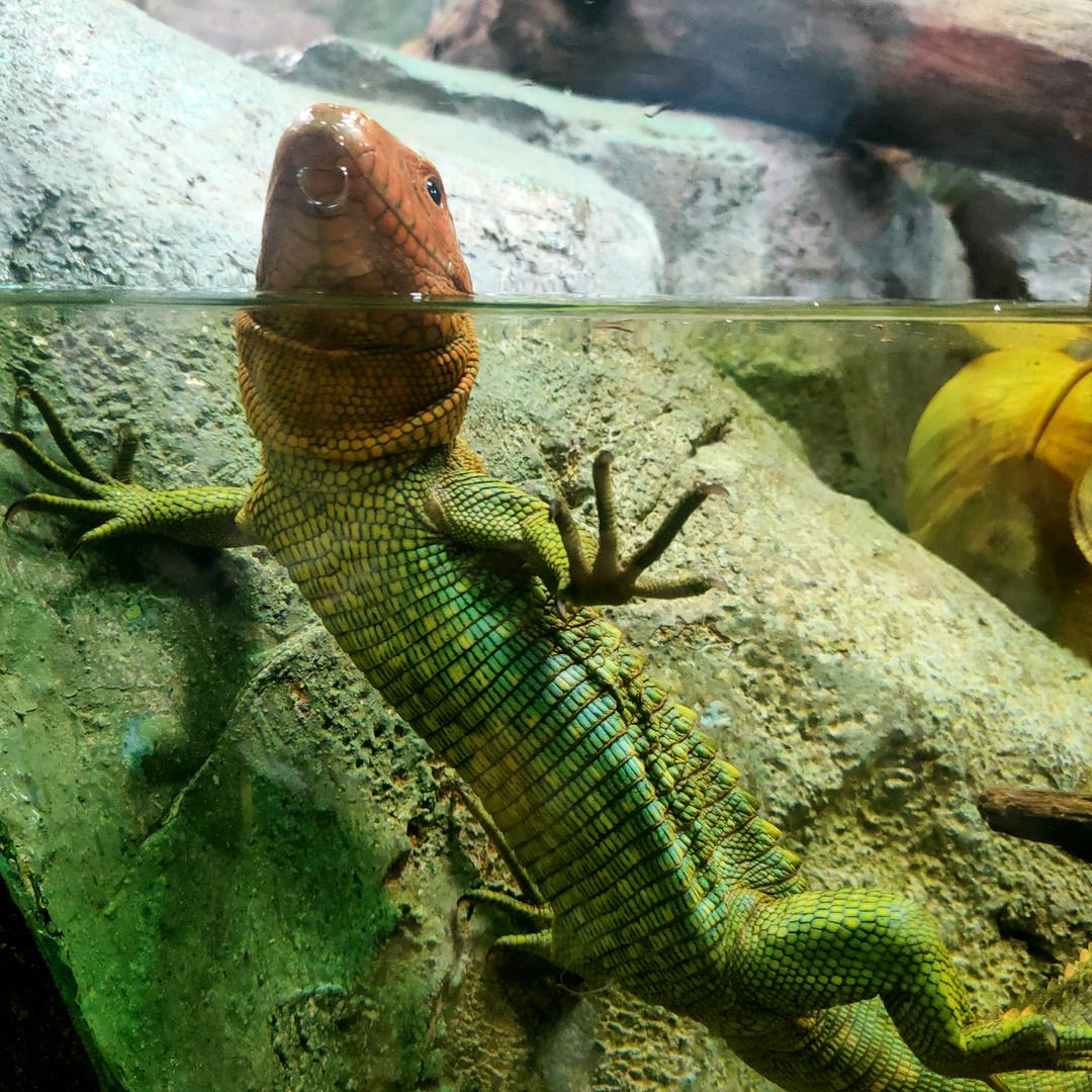 💯Mysterious World