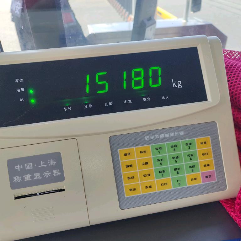 伤了我的心  我的心好伤心