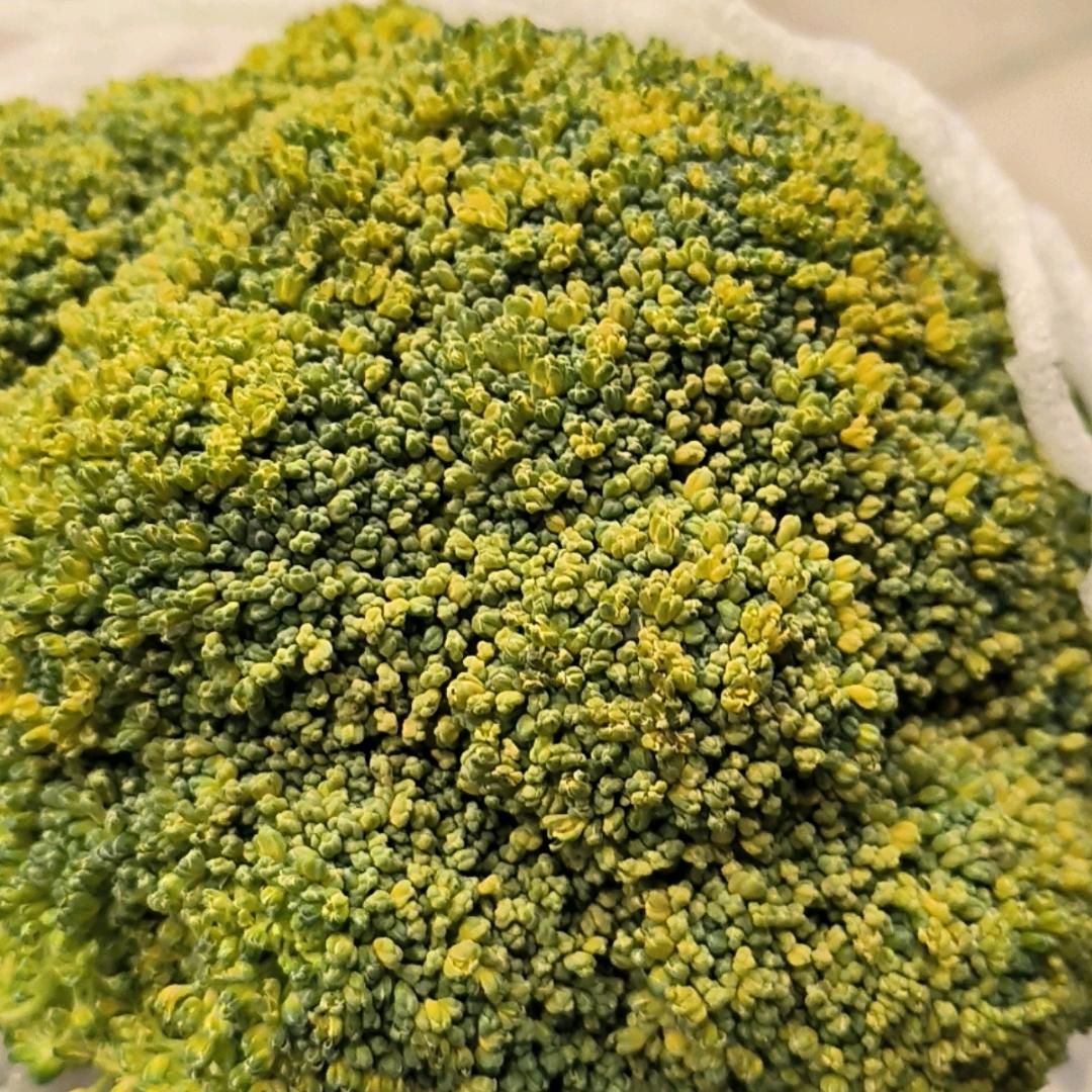 釉釉夫妇（孕期）