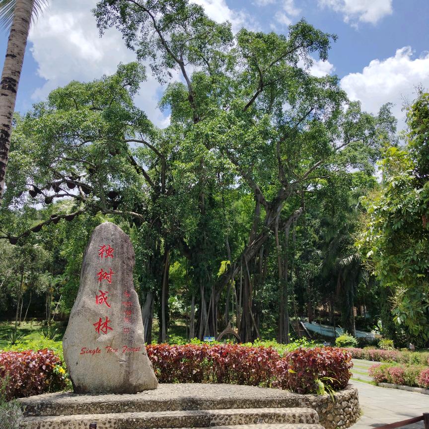 善良不过期