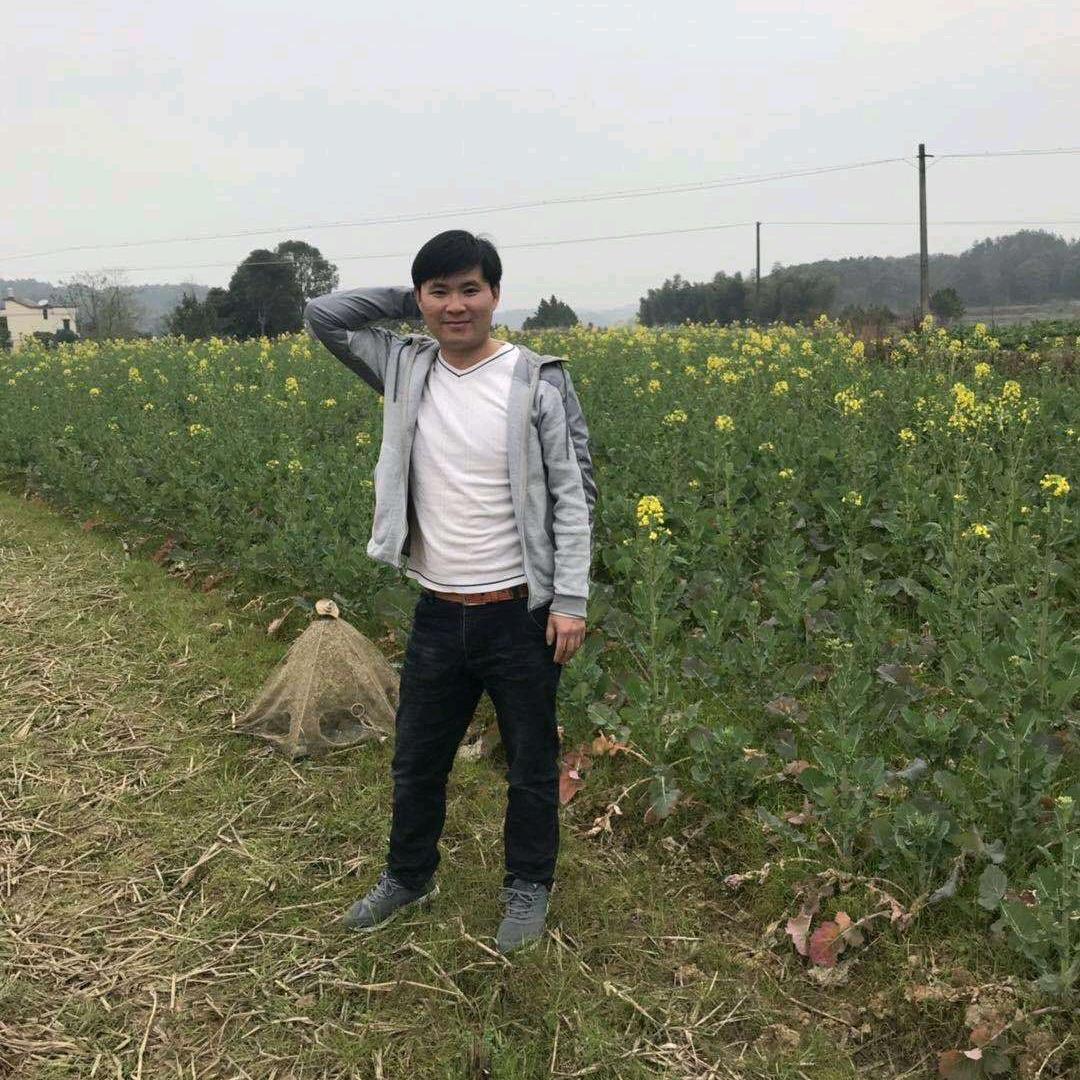 佛山万磊艺术涂料一朱工