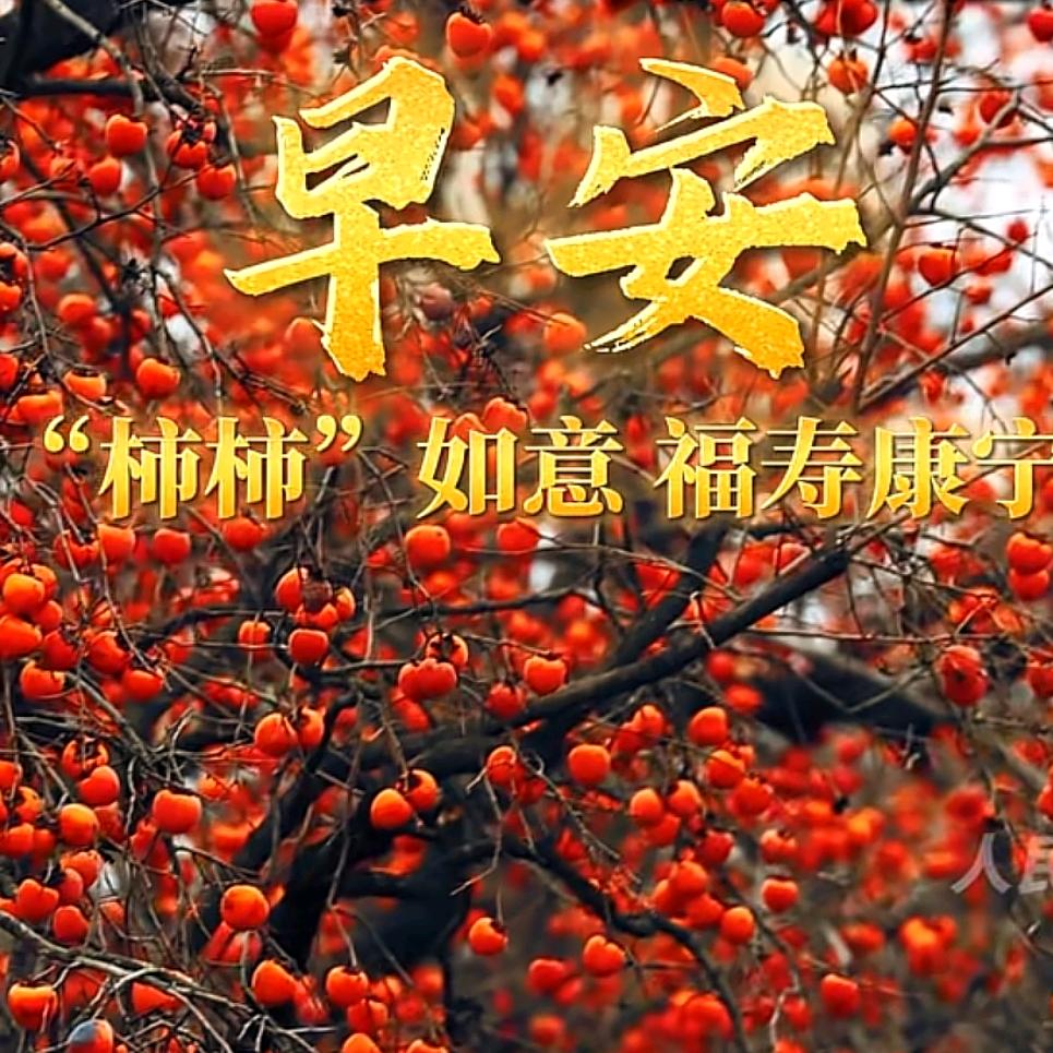 “玉”到欢乐🌻