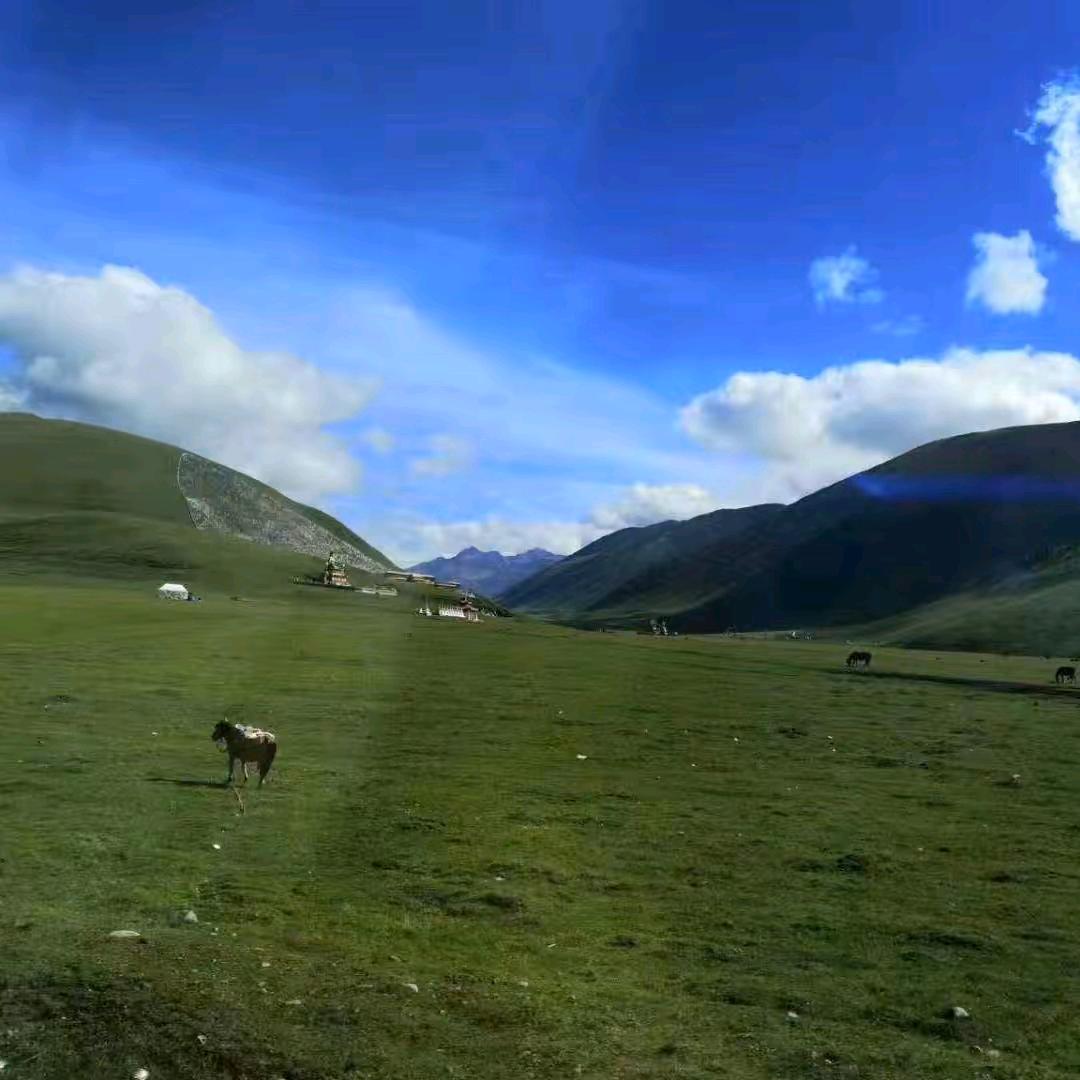 往后余生要快乐