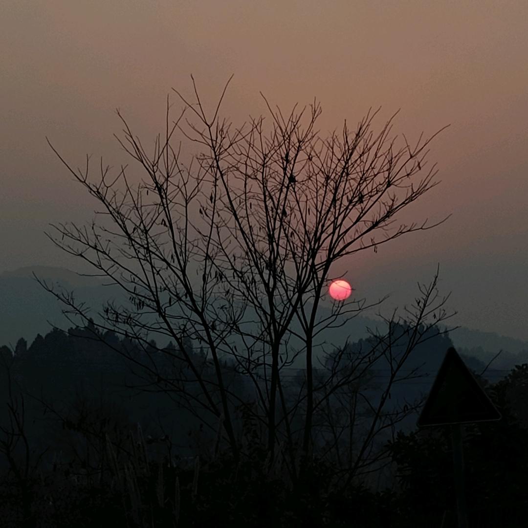 就快发芽了