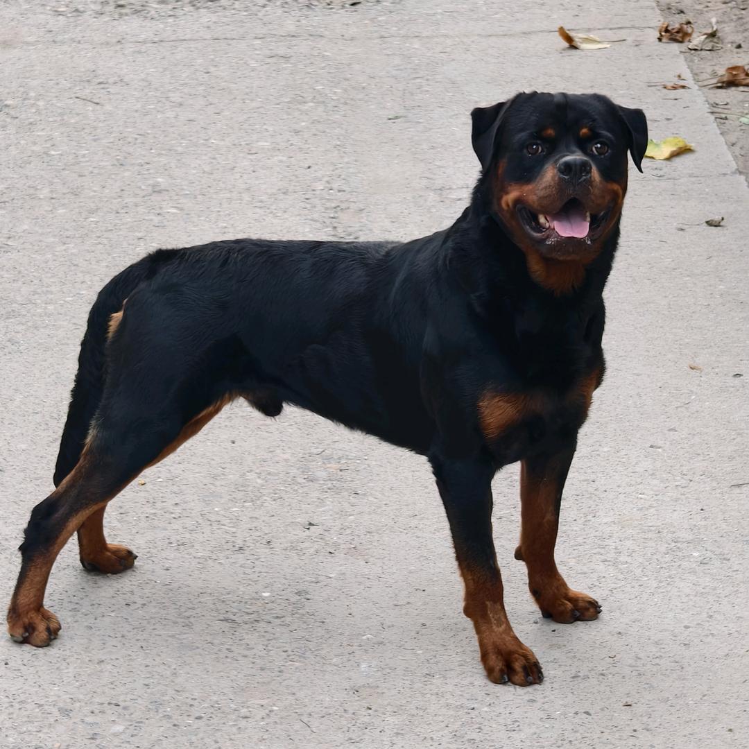 奈何桥头最后的一点留恋