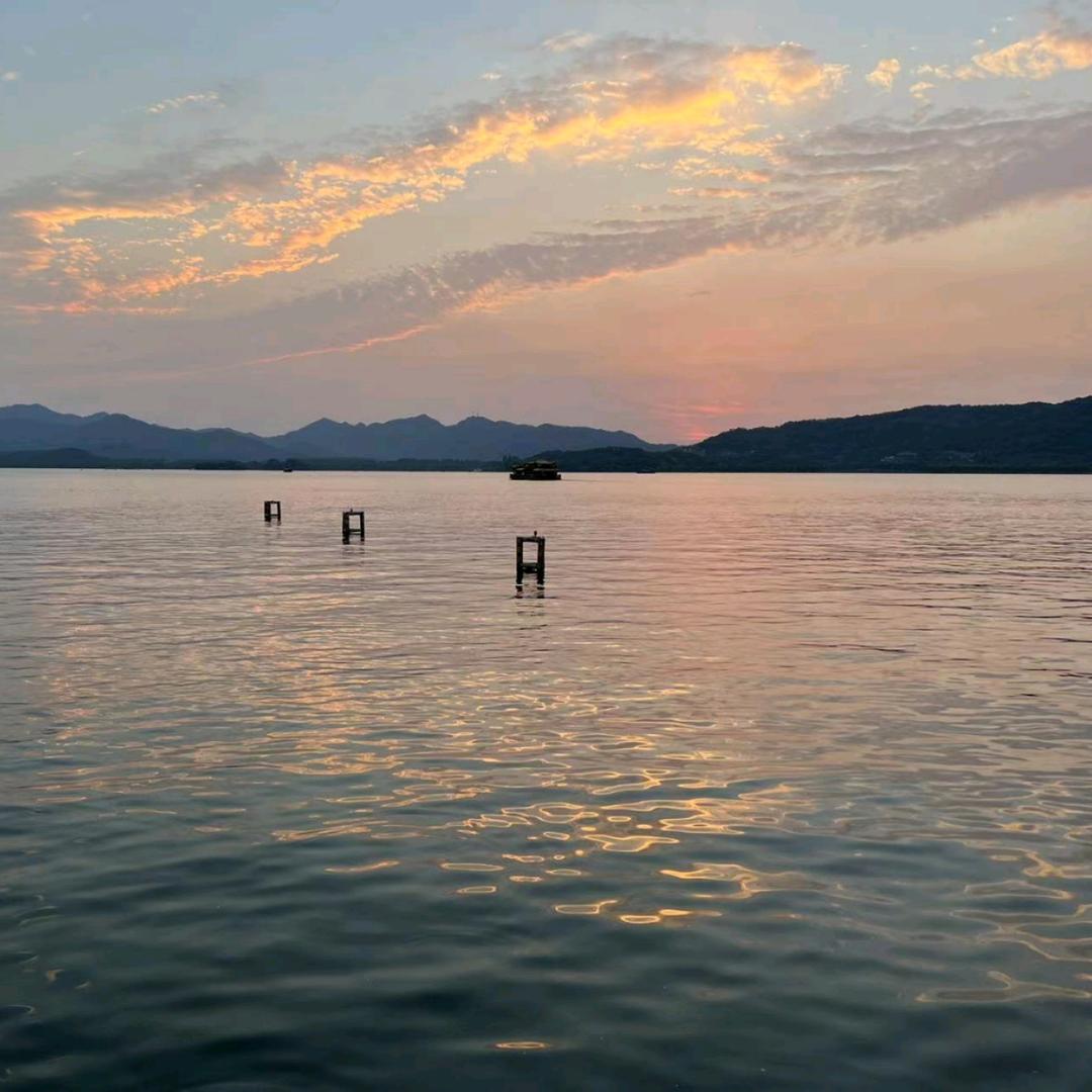 好物甄选(杨)|¹9¹5