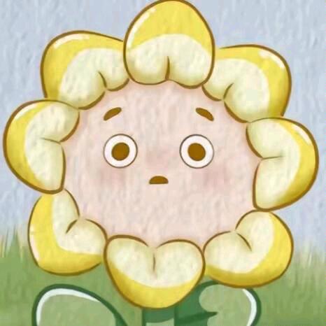 小葵陪你闯世界⭐️