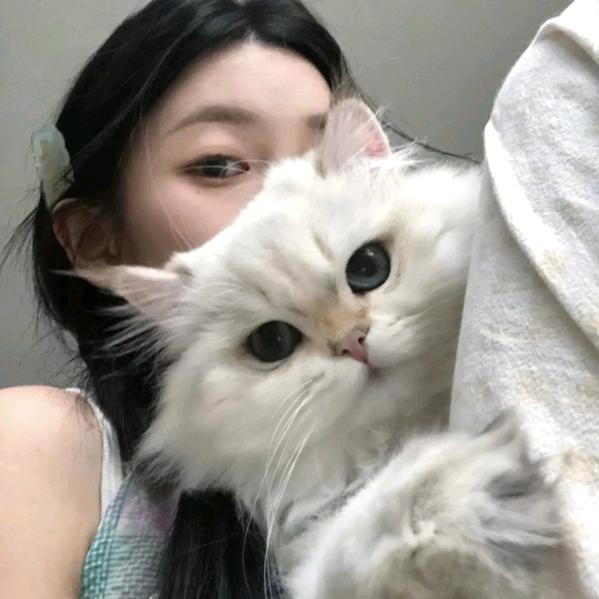 故事细腻.