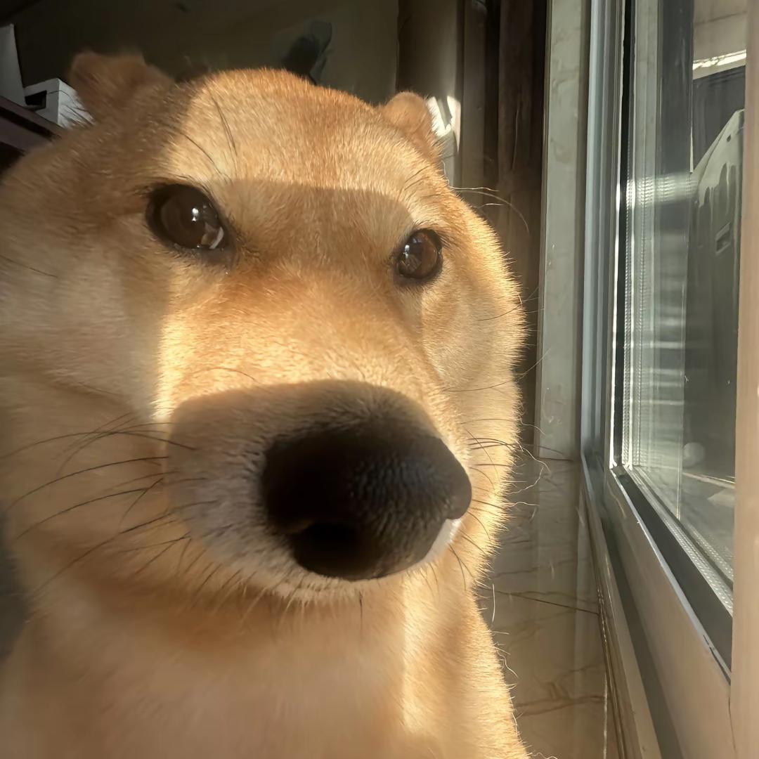 都不知道