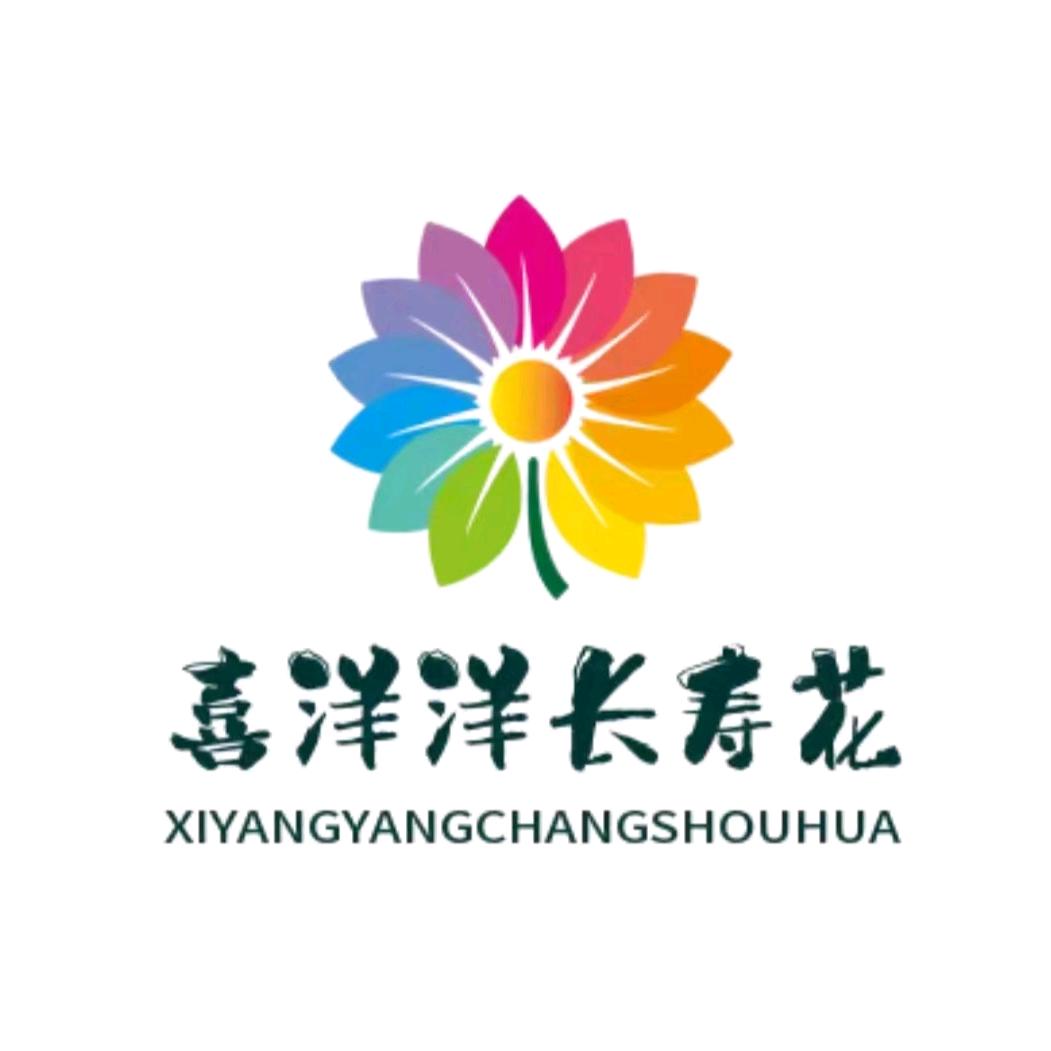 喜洋洋长寿花