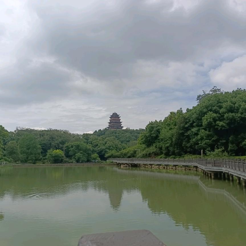 林木(工读日记)