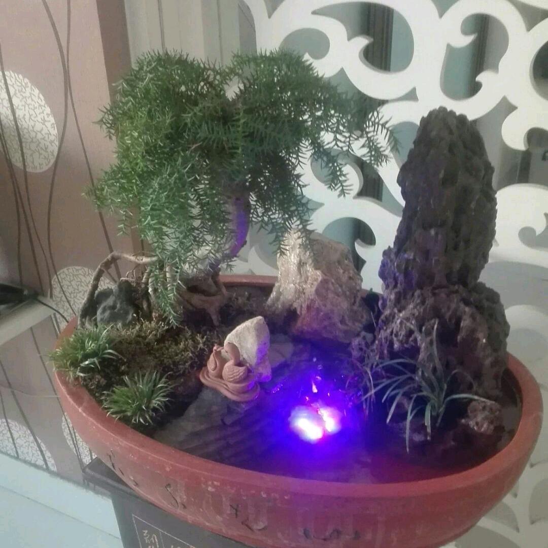 友好