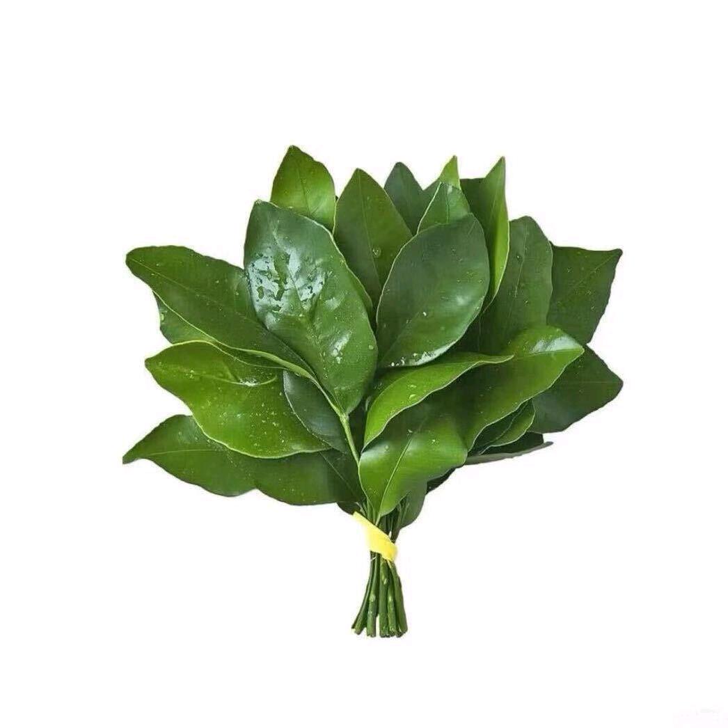 买车不掏钱还能倒拿点？