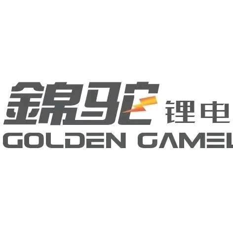 錦驼驻车锂电池