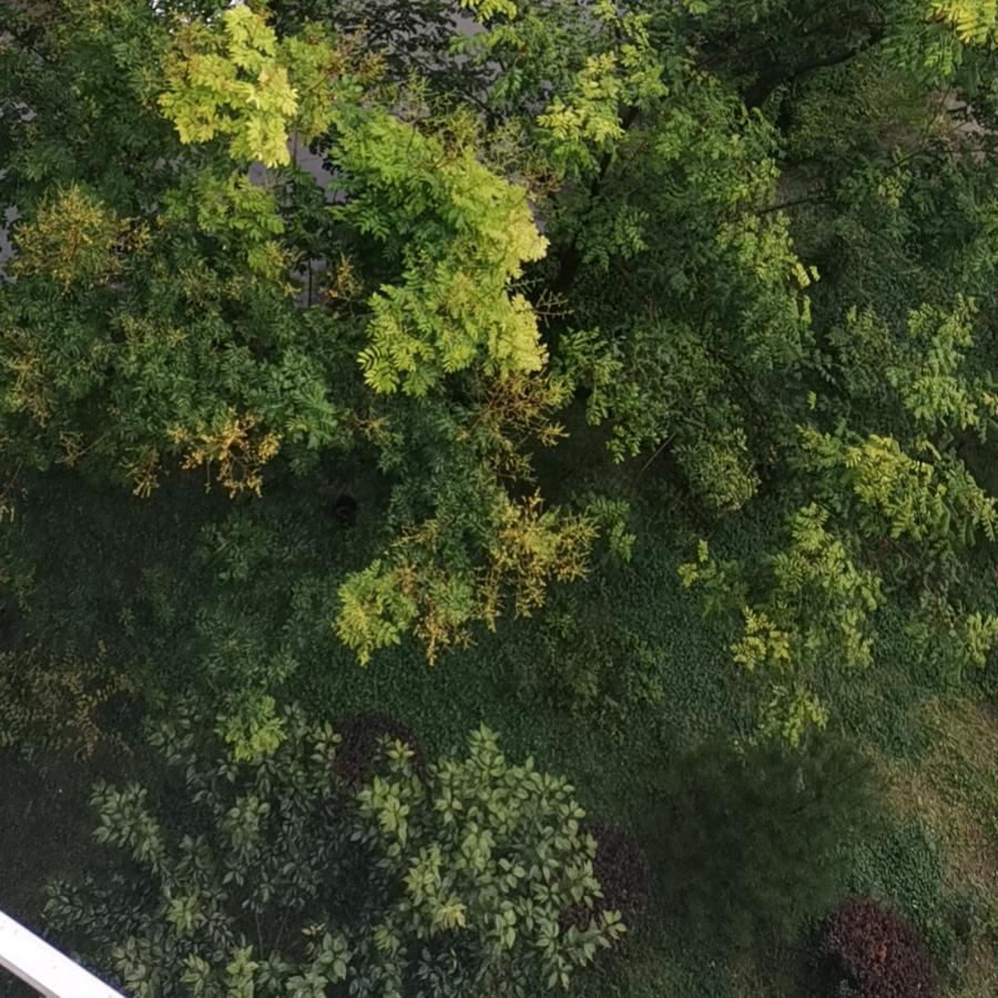 伯牙卧丘山