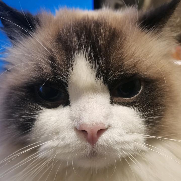 咻啪Cool