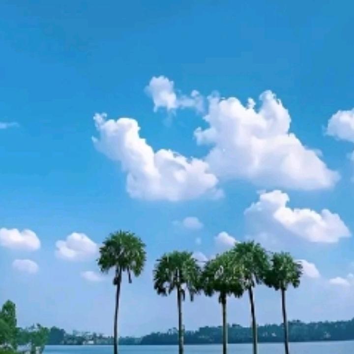 云朵☁️
