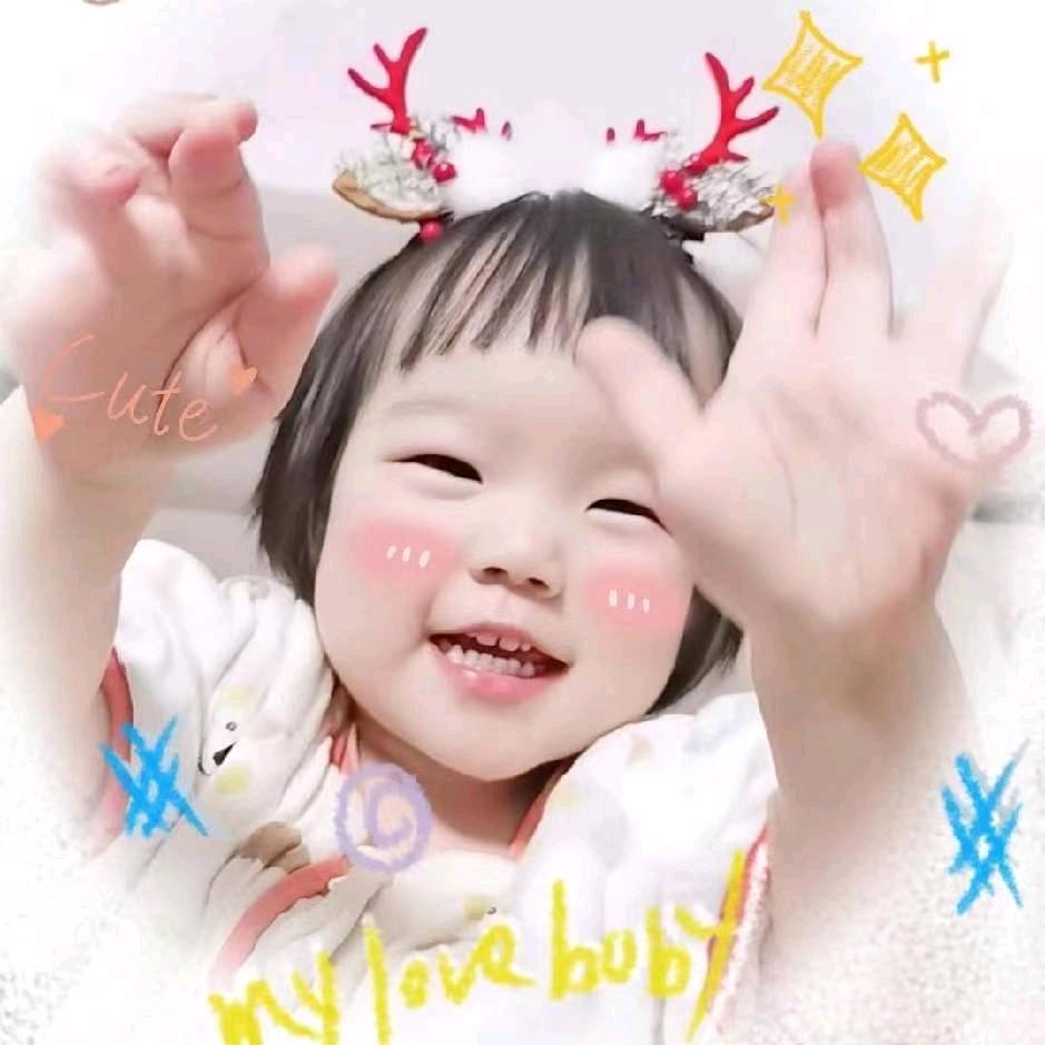 林 lin