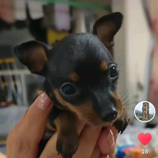 冷暖自知